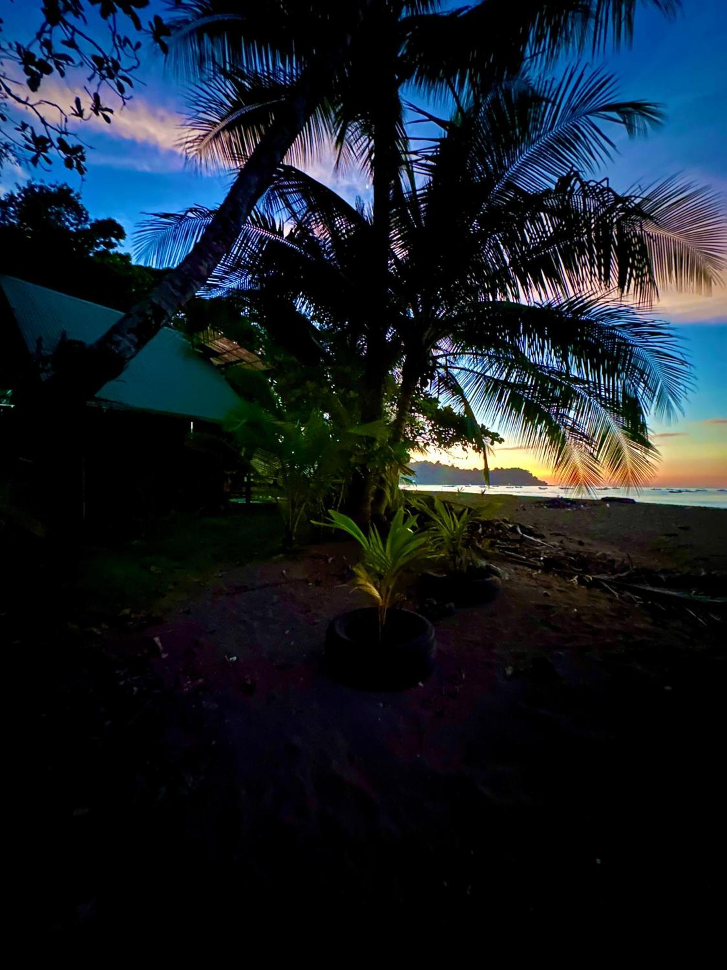 Beach House Drake Bay Exterior photo